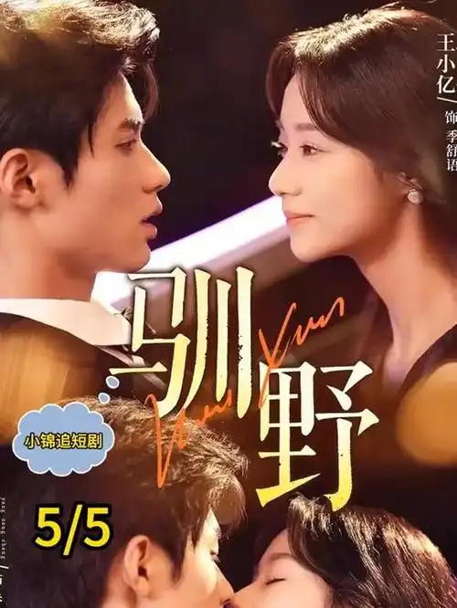 94神马电影热播剧集《长夜将明》海报